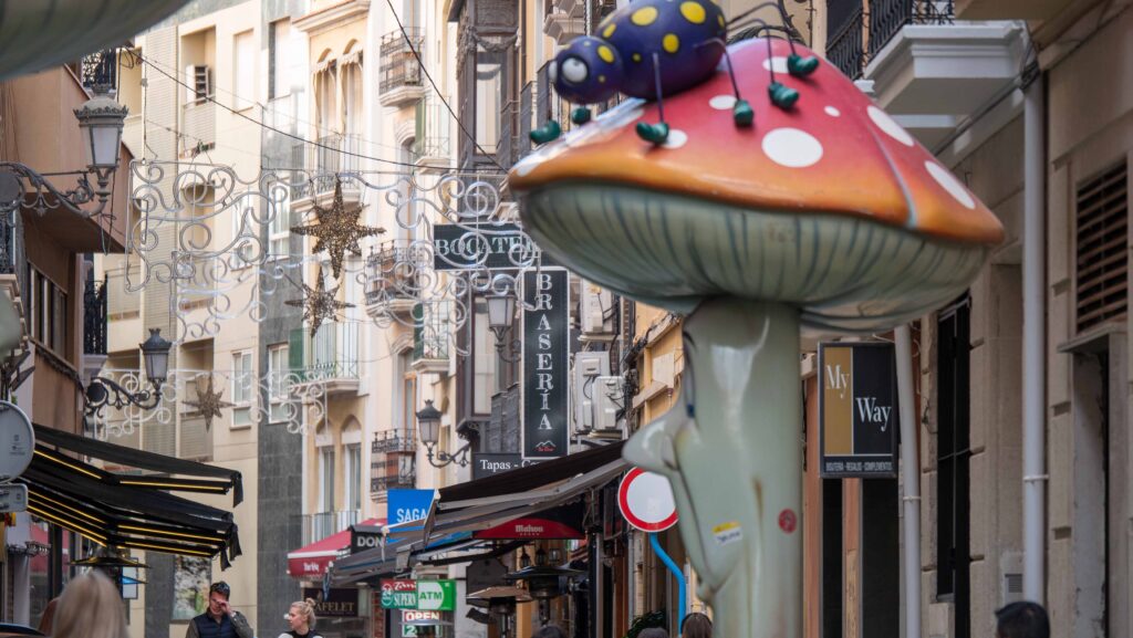 mushroom street alicante