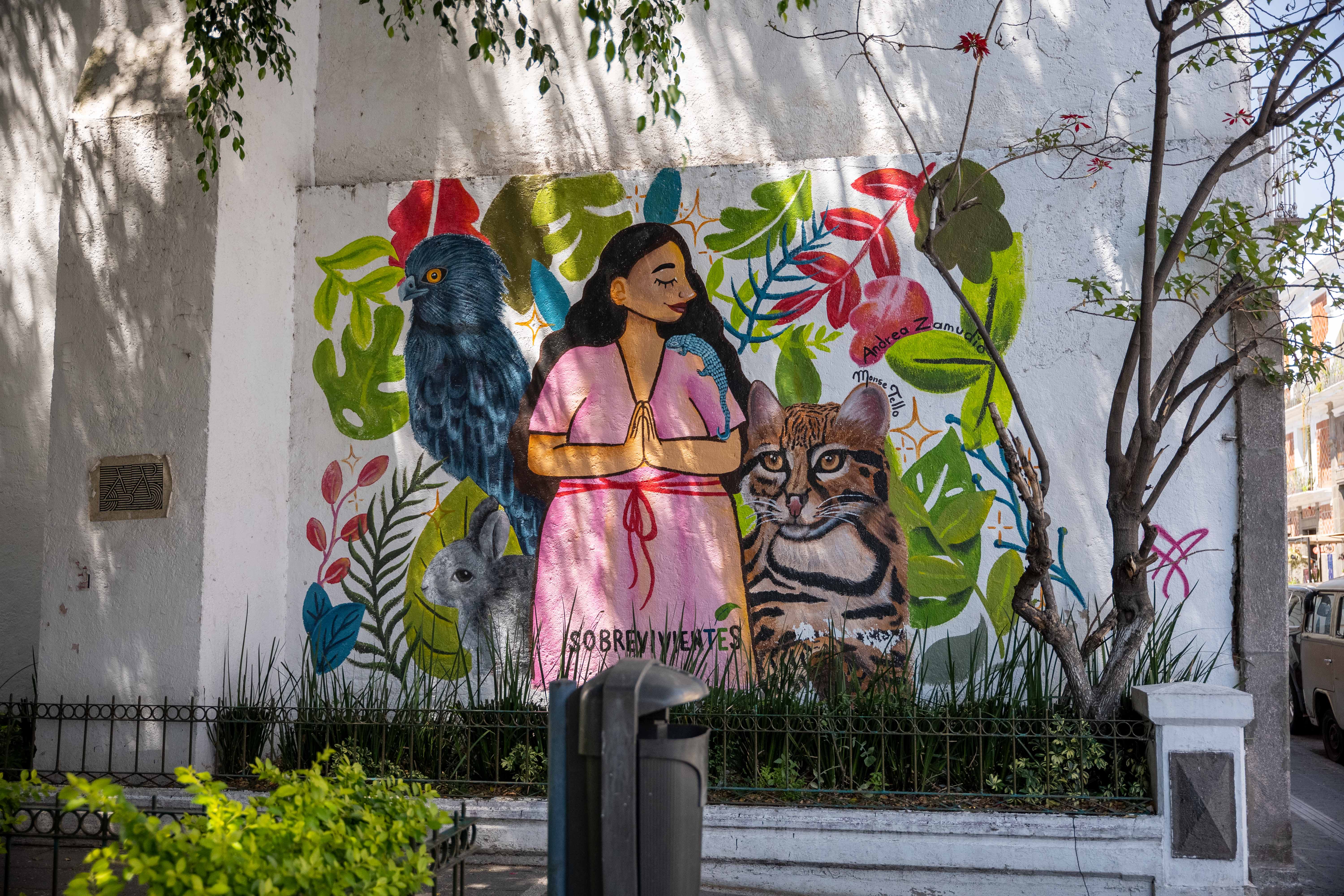 puebla mexico beautiful street art