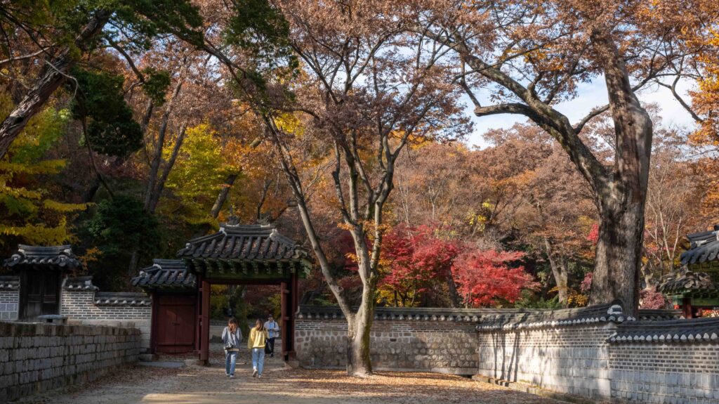 secret-garden-seoul