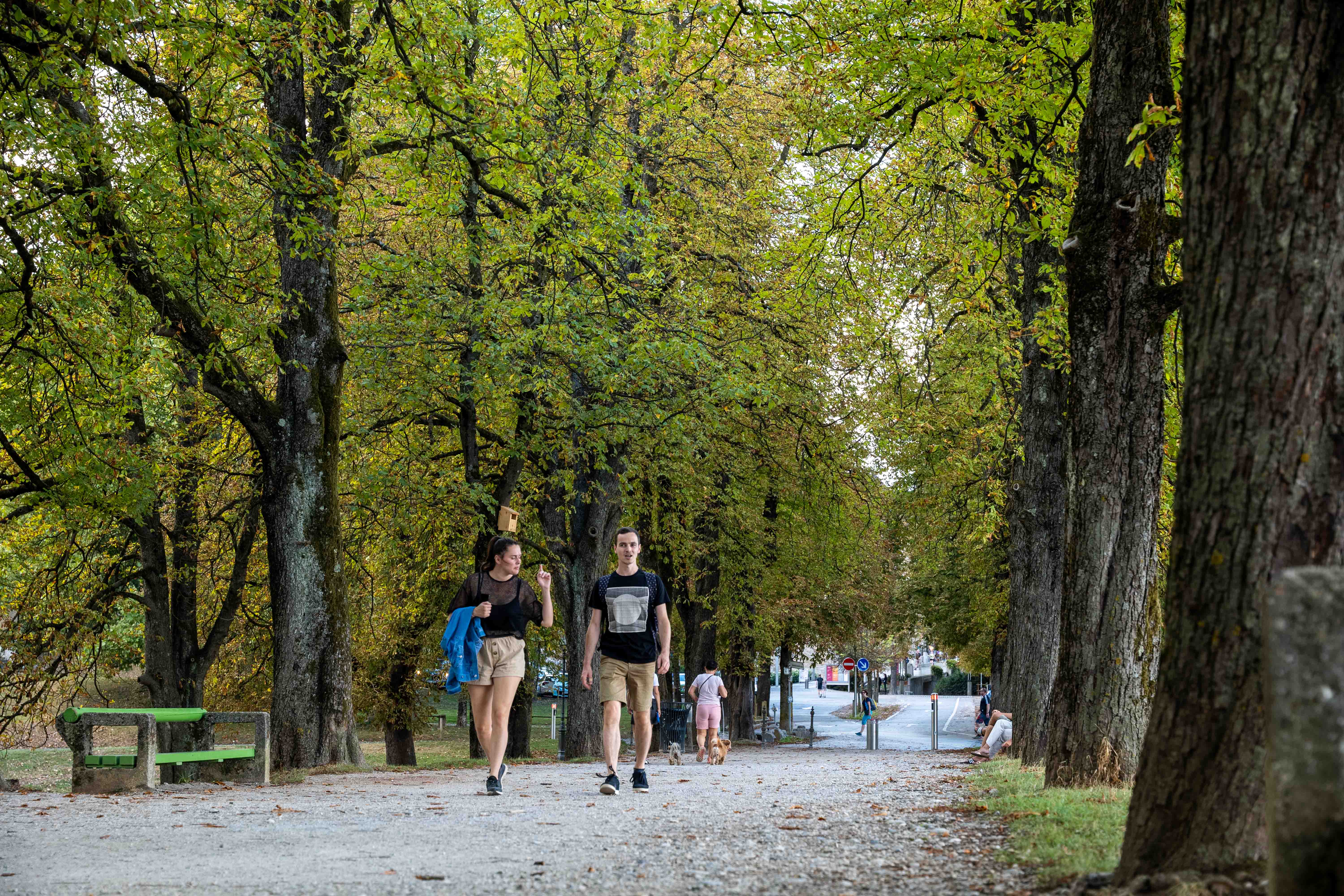 walking guide slovenia ljubljana